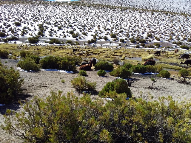 Gobierno ingresa proyecto de ley que moderniza el Sistema de Evaluación de Impacto Ambiental al Congreso