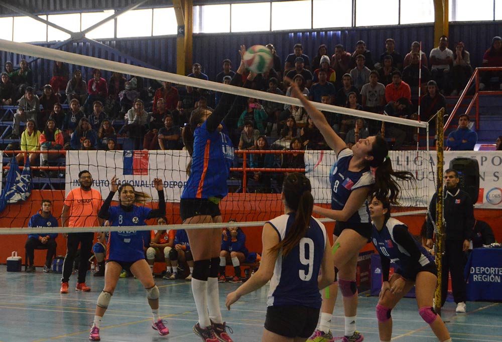 UCN y Unap representarán al norte en Final Nacional de voley femenino LDES