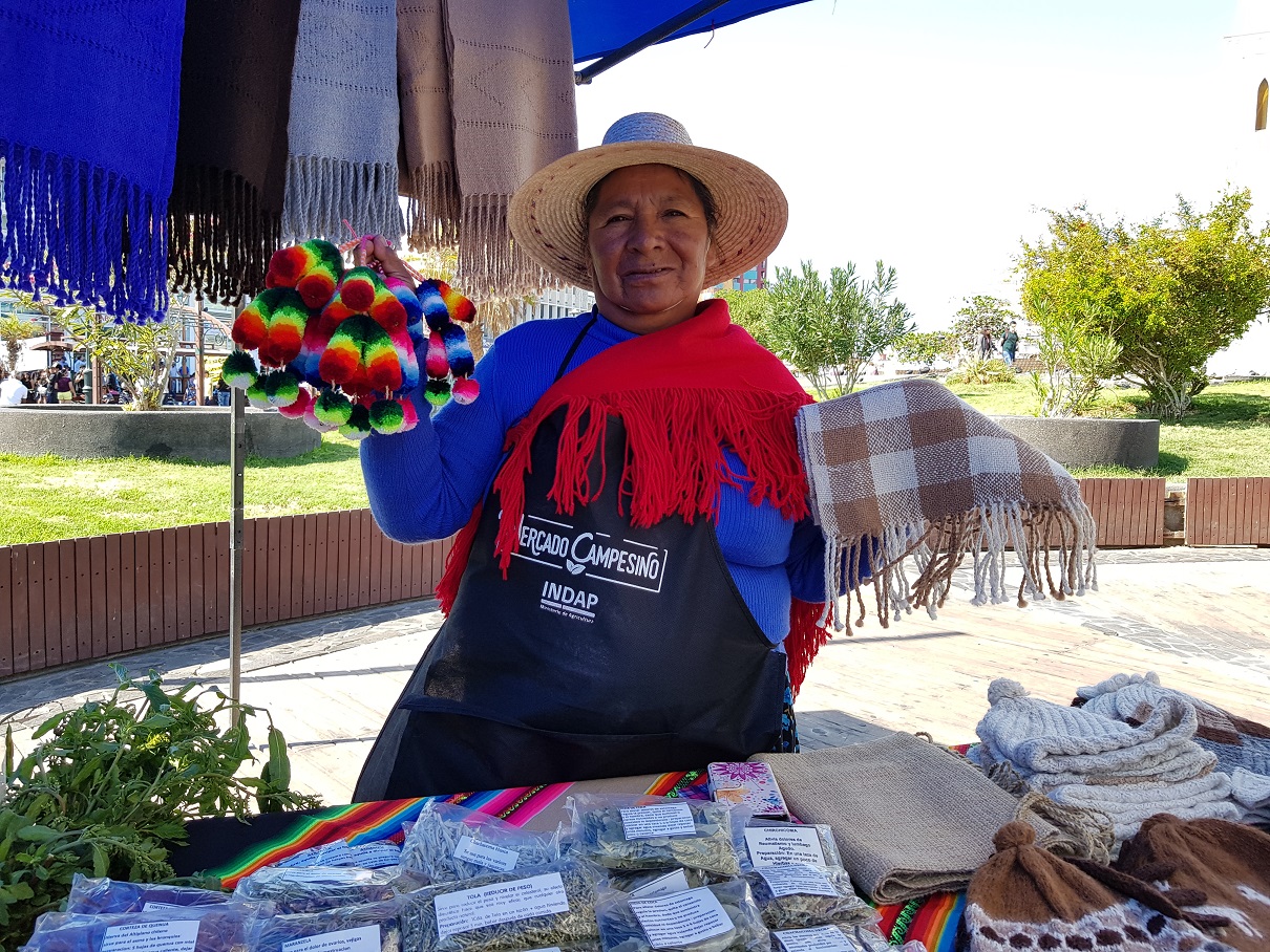 Agricultores y artesanas participarán en Mercados Campesinos hortícola y textil en Iquique