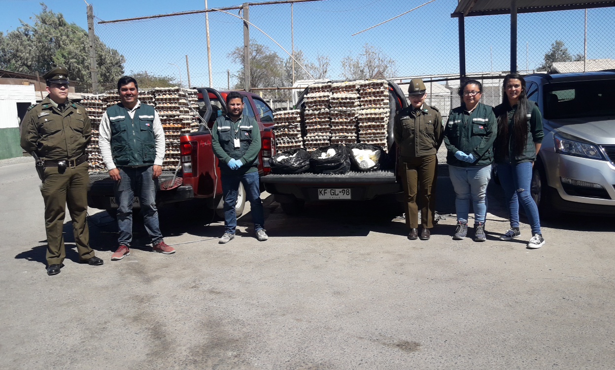 Carabineros y SAG decomisan  más de 200 kilos de quesos frescos