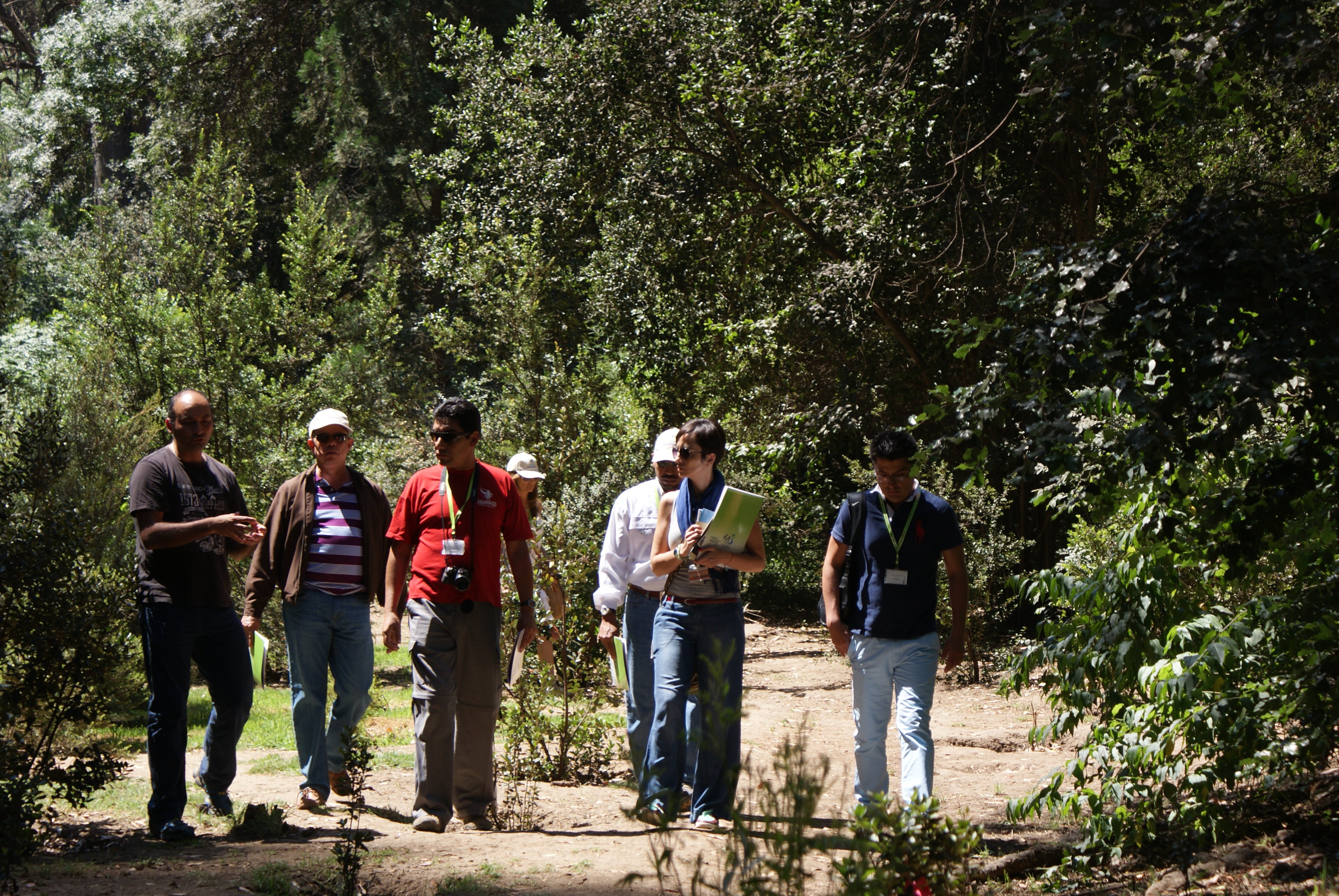 Ministerio del Medio Ambiente llama a postular al Fondo de Protección Ambiental Áreas Verdes 2019