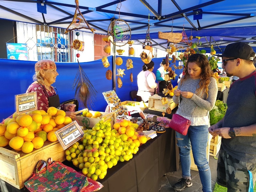 Hoy: Mercado Campesino se suma a semana de la carrera de Gastronomía en CFT Santo Tomás