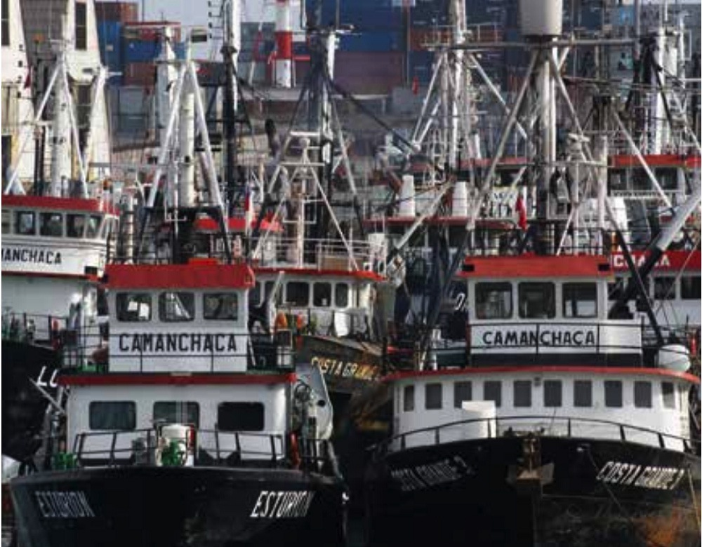 Camanchaca registró US$ 74,6 millones de EBITDA al tercer trimestre, un 77% mejor que el año anterior