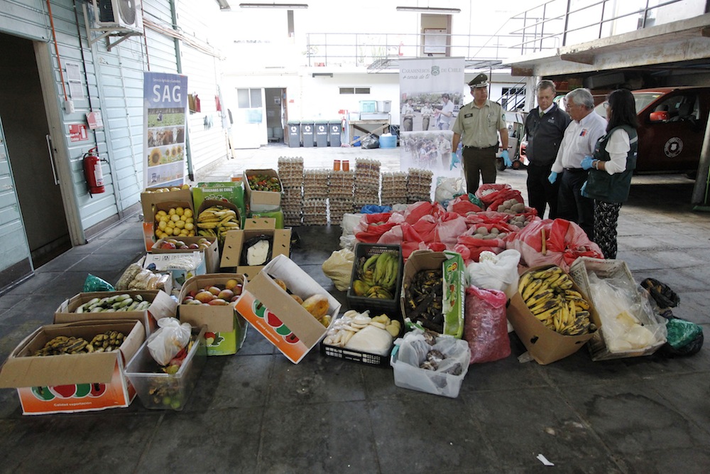  SAG da fuerte golpe al contrabando de productos agropecuarios de riesgo