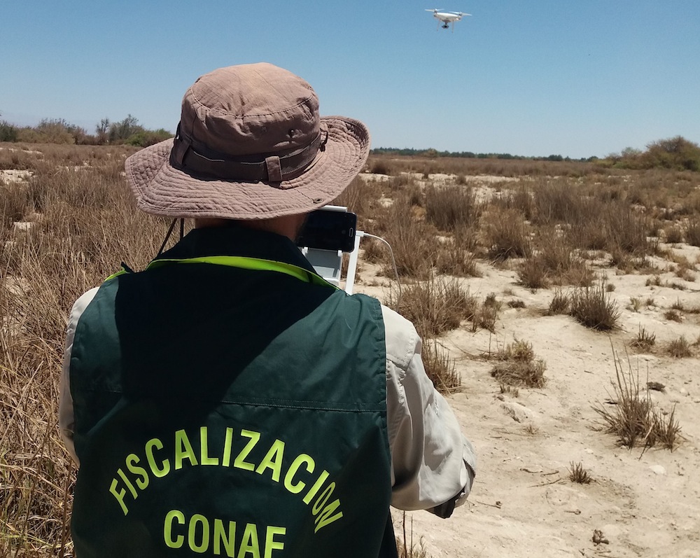 Con avances de creación de nuevas áreas protegidas y alianzas internacionales CONAF culmina este 2018