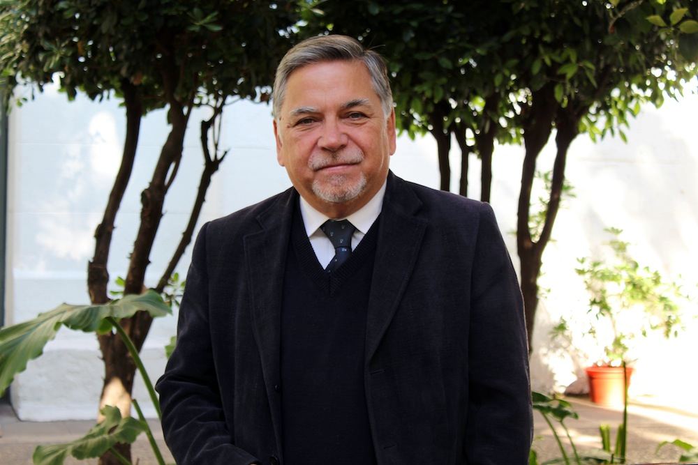 Cathy y la política