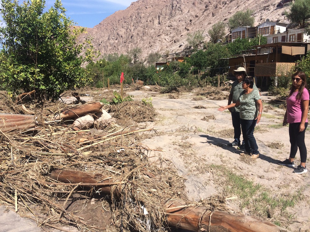 Viñateros de Codpa dispuestos a salir adelante a pesar de las pérdidas