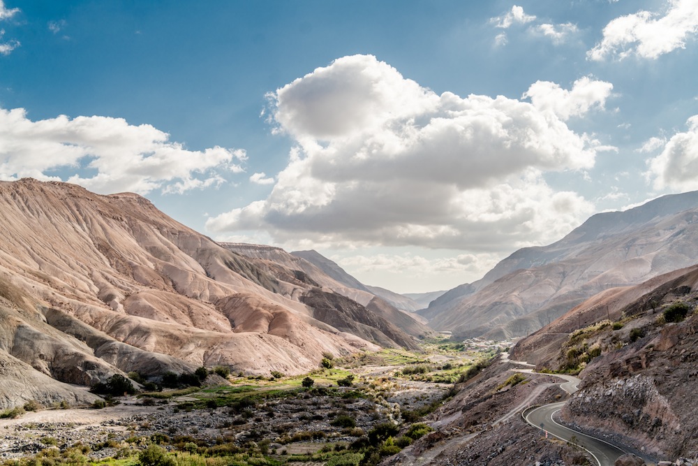 Once delegaciones folclóricas latinoamericanas participan en el Danzamerica 2019﻿