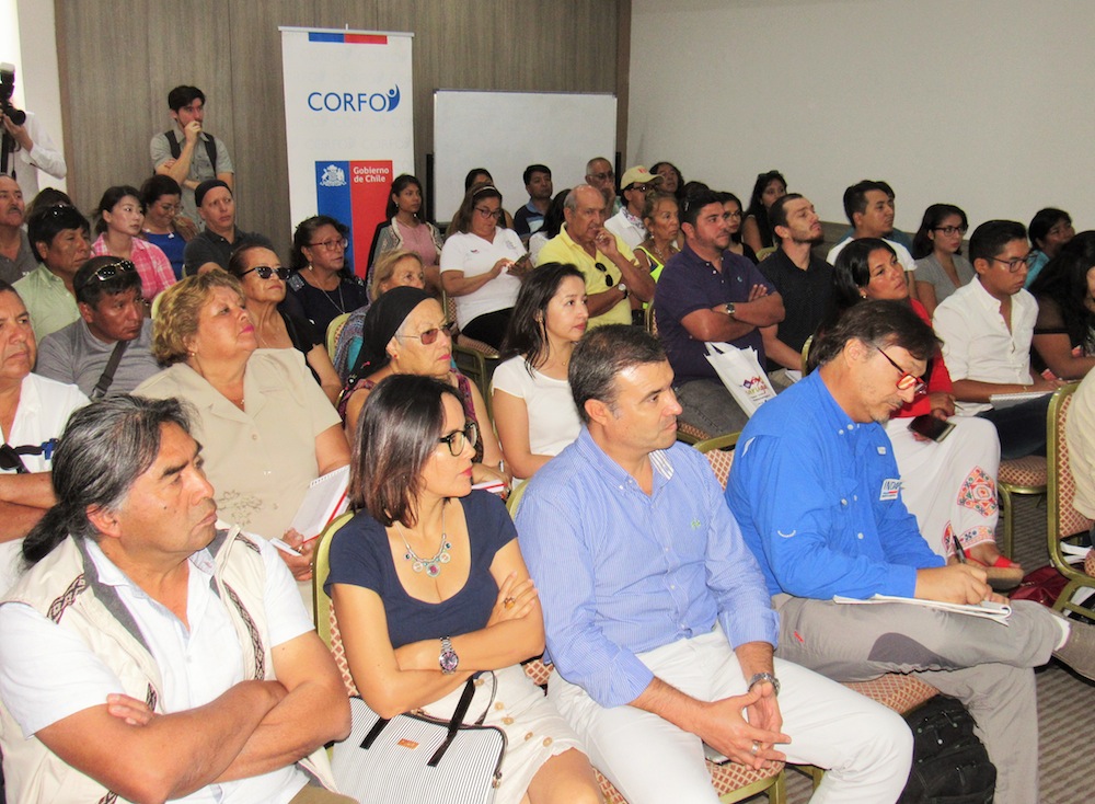 Programa “Descubre Tamarugal” realizó jornada de turismo étnico﻿