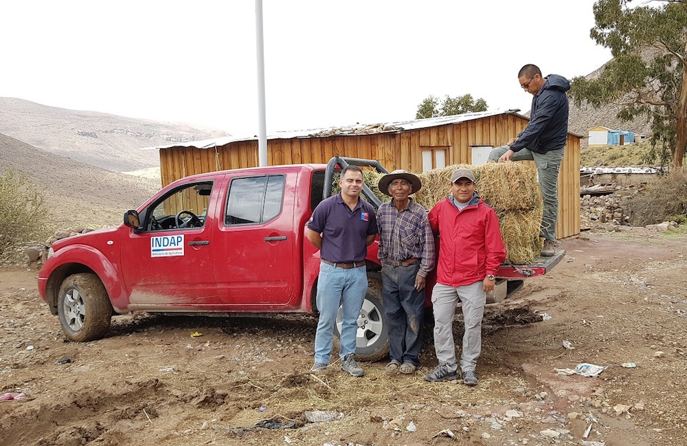 Entregaron en Chusmiza alimento para animales y víveres para agricultores
