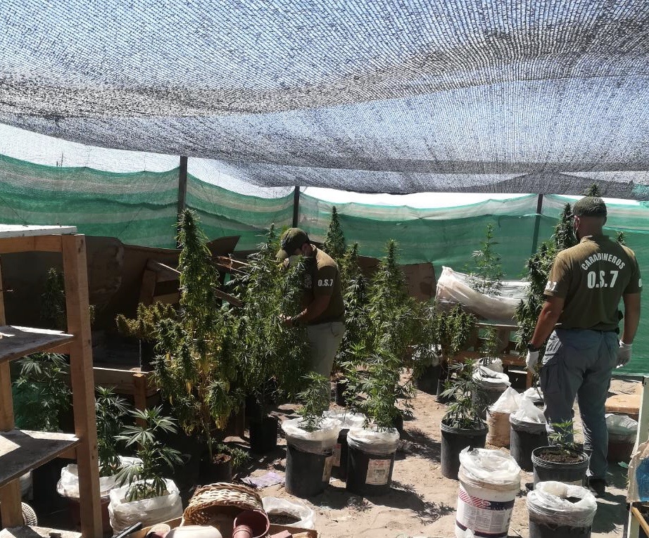 OS-7 Iquique detiene en Pica a 3 personas acusadas de microtráfico y porte de armas