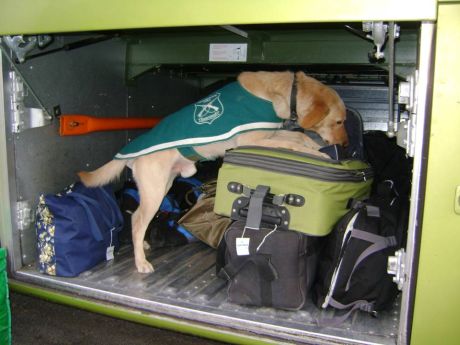 OS-7 detiene a 4 bolivianos por tráfico de drogas