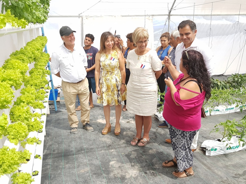 Jefas de hogar de caleta San Marcos aprenden agricultura hidropónica