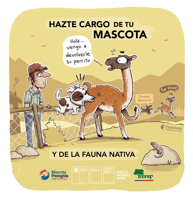 Tenencia responsable y su impacto en la fauna nativa