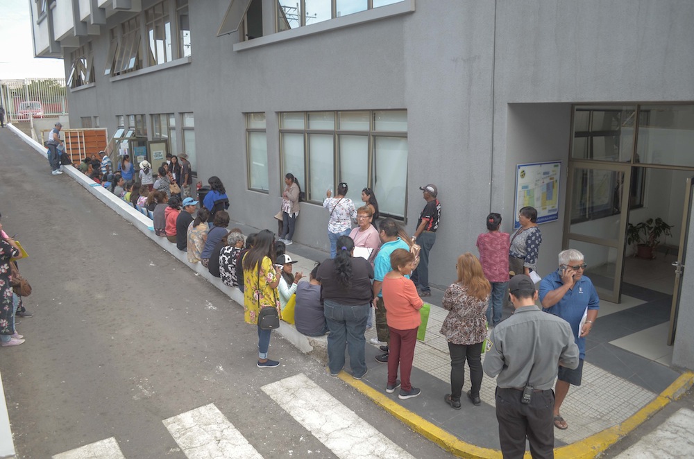 Registro oficial de mascotas en la Municipalidad de Alto Hospicio