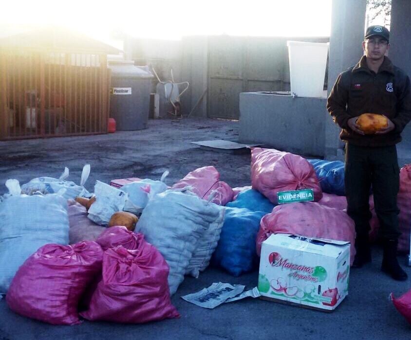Detenidos por contrabando de frutas