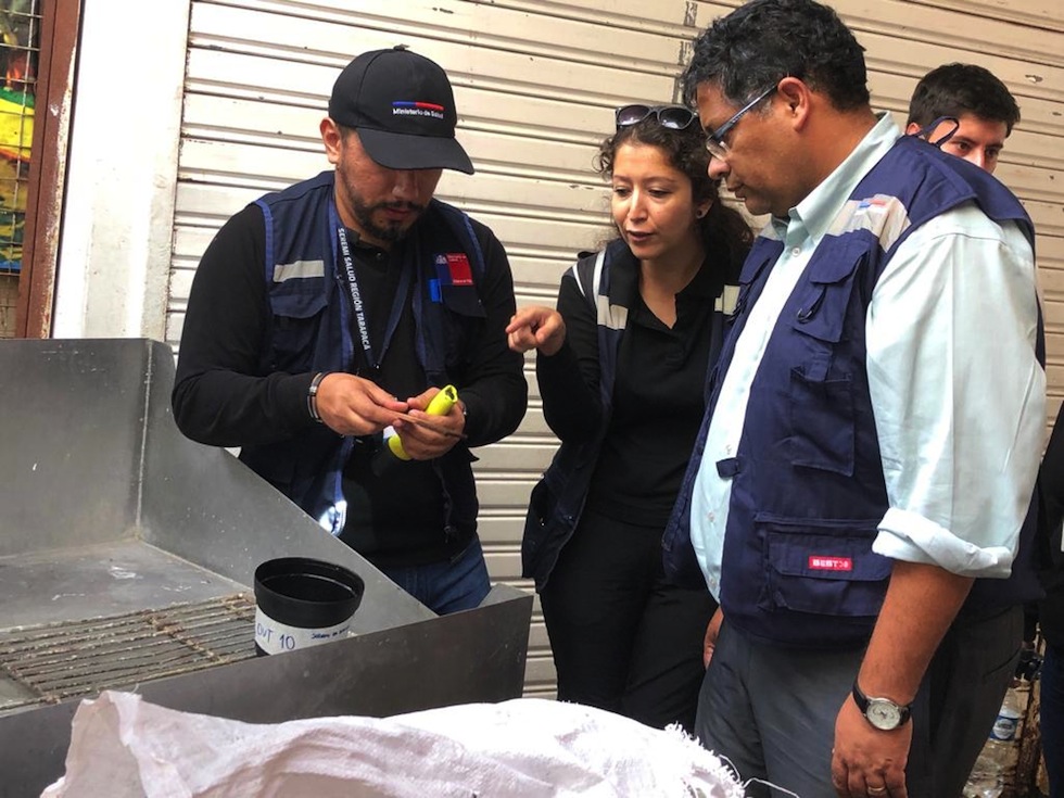 Intensifican búsqueda del mosquito Aedes Aegypti en Iquique