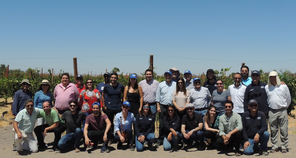 El Vino del Desierto es elegido el proyecto estrella de la región de Tarapacá
