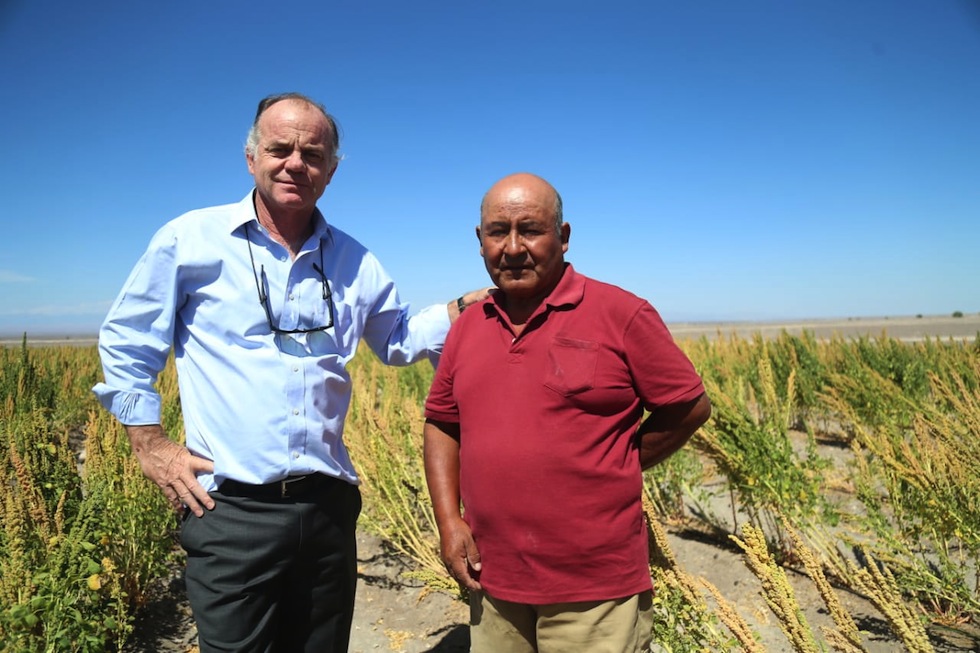 Ministro Walker encabeza Congreso Mundial de la Quinua: “Es un cultivo que se adapta muy bien a la agricultura familiar campesina y queremos impulsar su desarrollo”﻿
