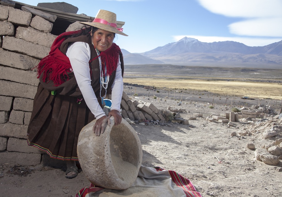 Ayer, hoy y mañana ExpoQuinua con 30 productores en Plaza 21 de Mayo 