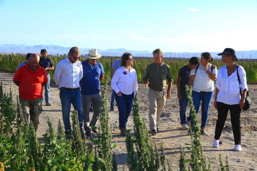 Autoridades informan de apoyos para los agricultores de Bajo Soga