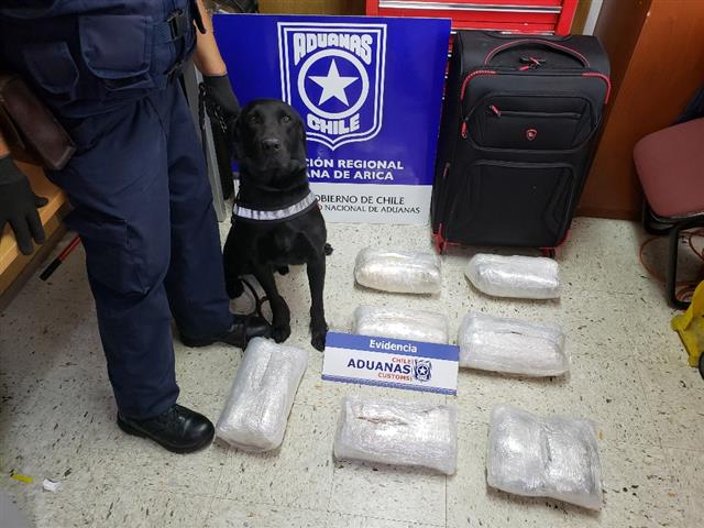 Aduanas sorprende a dos chefs y un garzón con droga en Chacalluta