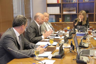 Comisión de Economía del Senado espera reacción de la cartera frente al alza de la electricidad