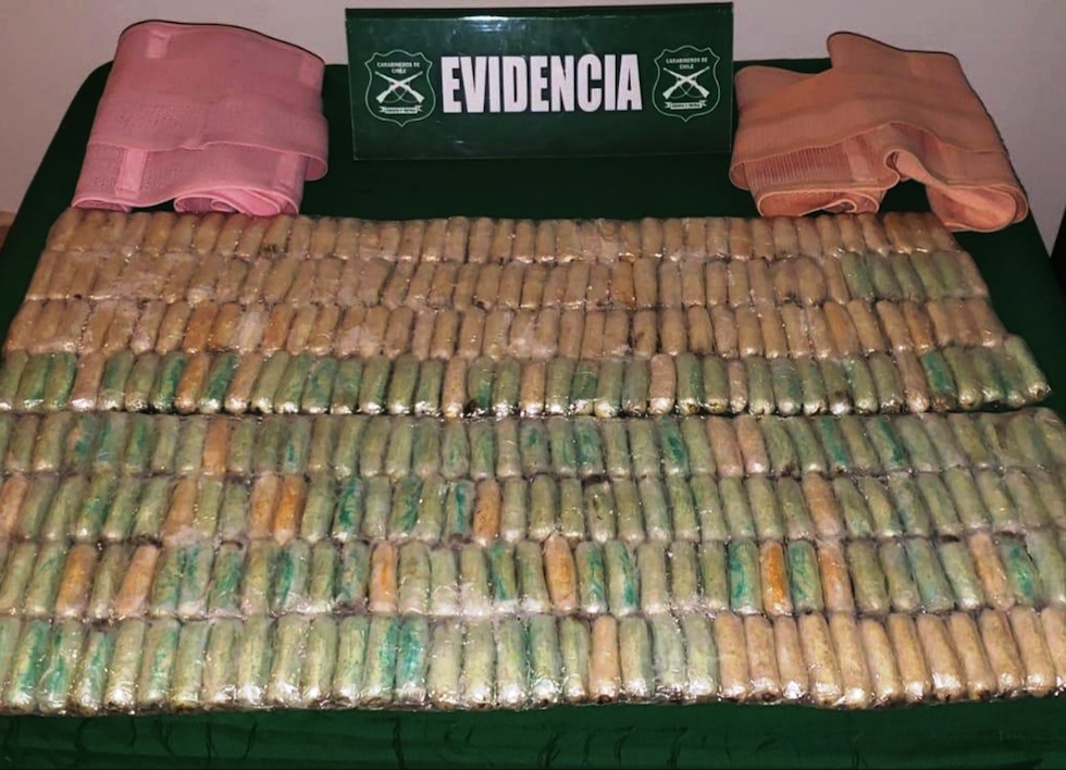 Can «Ancor» detectó drogas para hacer 40 mil dosis