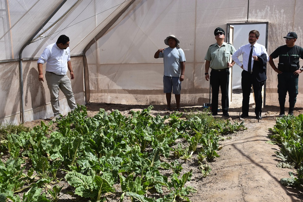 Seremi de Justicia y Gobernador del Tamarugal visitaron Granja de Pozo Almonte