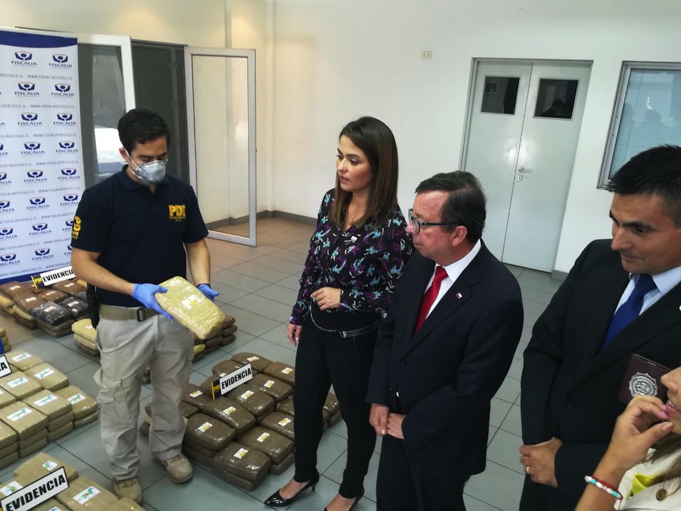 PDI logró la incautación de cerca de media tonelada de marihuana cripy