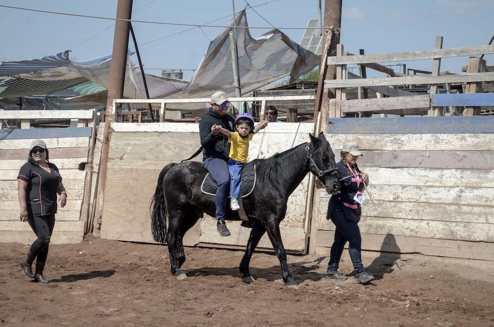 Alto Hospicio cuenta con el único Colegio Municipal que imparte hipoterapia