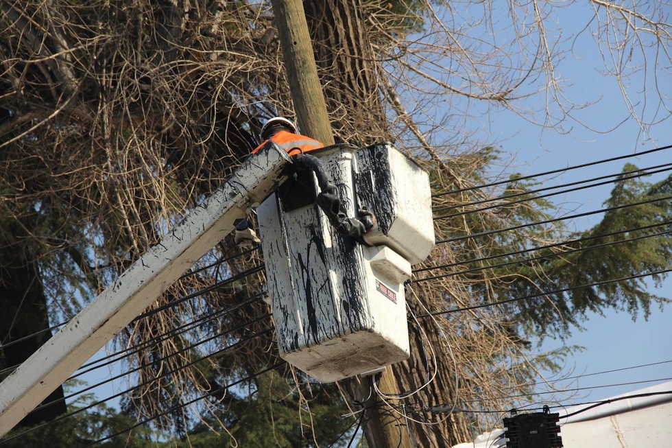 Sercotec financiará hasta $6 millones a emprendedores que busquen potenciar sus negocios