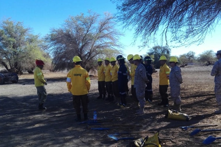 CONAF capacita a las brigadas del Ejército y Bomberos en combate de incendios forestales en El Tamarugal
