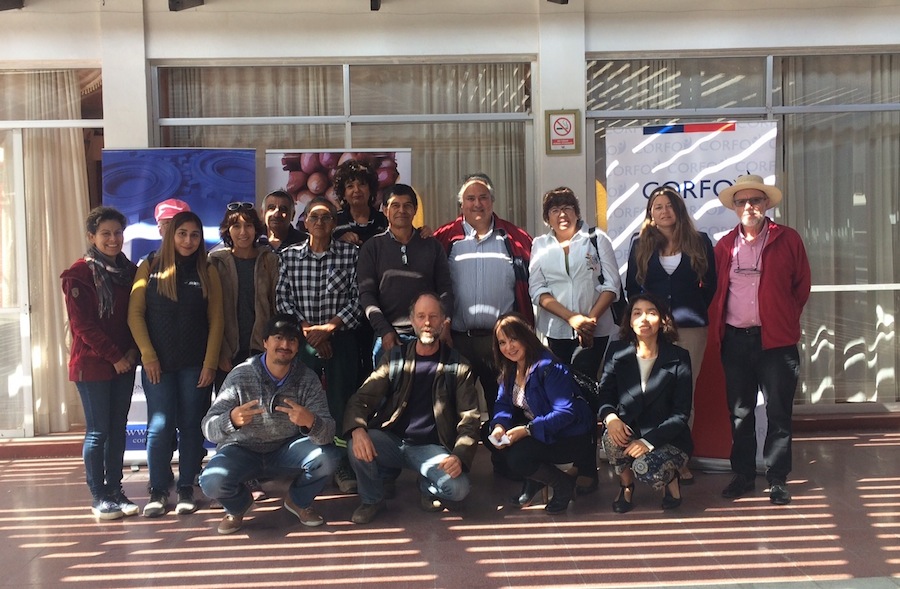 Aclararon qué buscan los consumidores de aceitunas de mesa