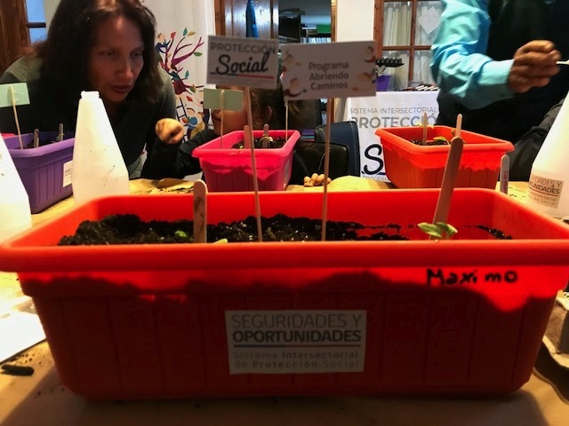 Programa coordinado por Gobernación Provincial de Iquique: Siete familias capacitadas en  “Huertos Urbanos Familiares”