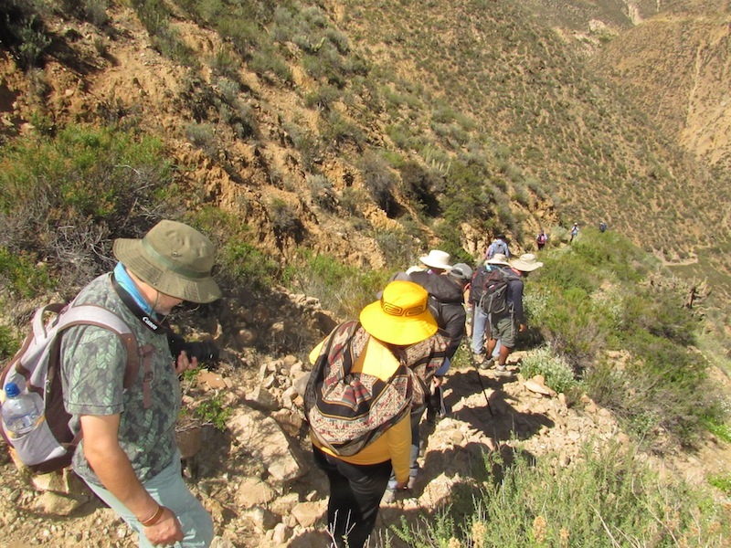 En Socoroma lanzaron Año 3 del programa Qhapaq Ñan
