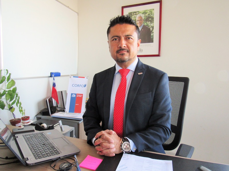 Convocan a participar en “Red Mercado” de Corfo