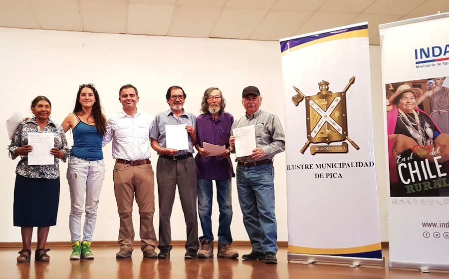 88 agricultores de Pica y sus familias mejoran producciones con aporte de INDAP