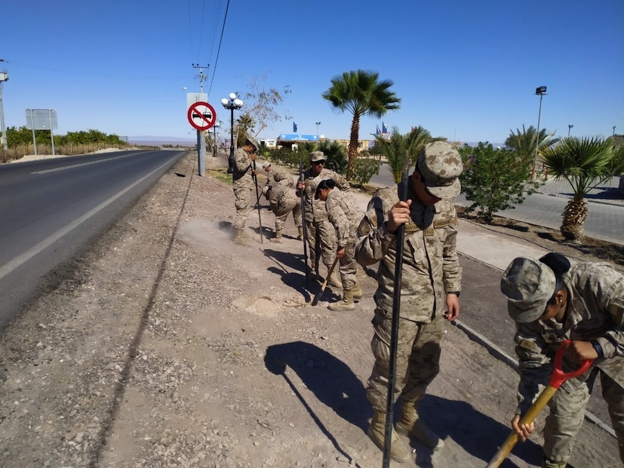 CONAF, Municipio de Pica y Ejército comienzan a forestar la ruta que une Matilla con Pica