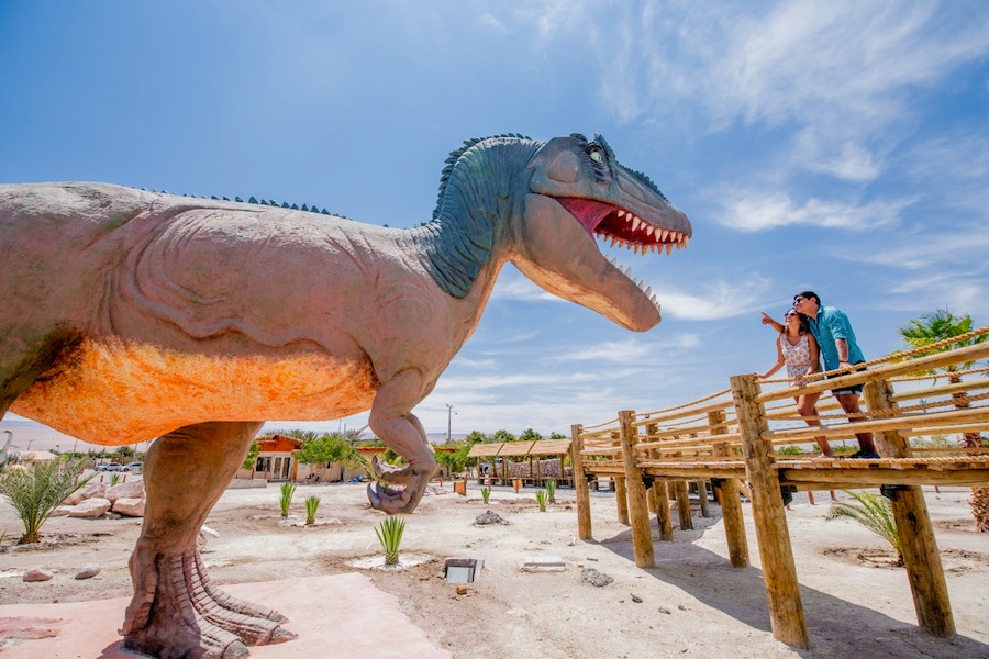 Tarapacá celebrará el Día Mundial del Turismo con diversas actividades