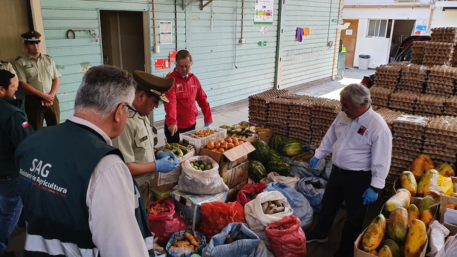 SAG y Carabineros decomisaron  16 mil 400 huevos