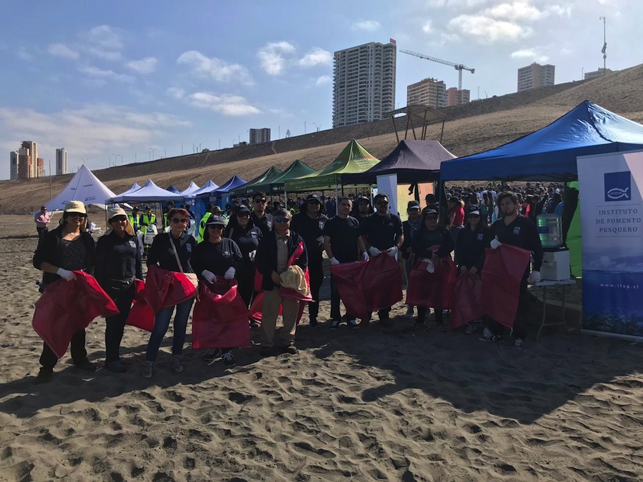 Destacada participación de IFOP Iquique en Limpieza de Playas