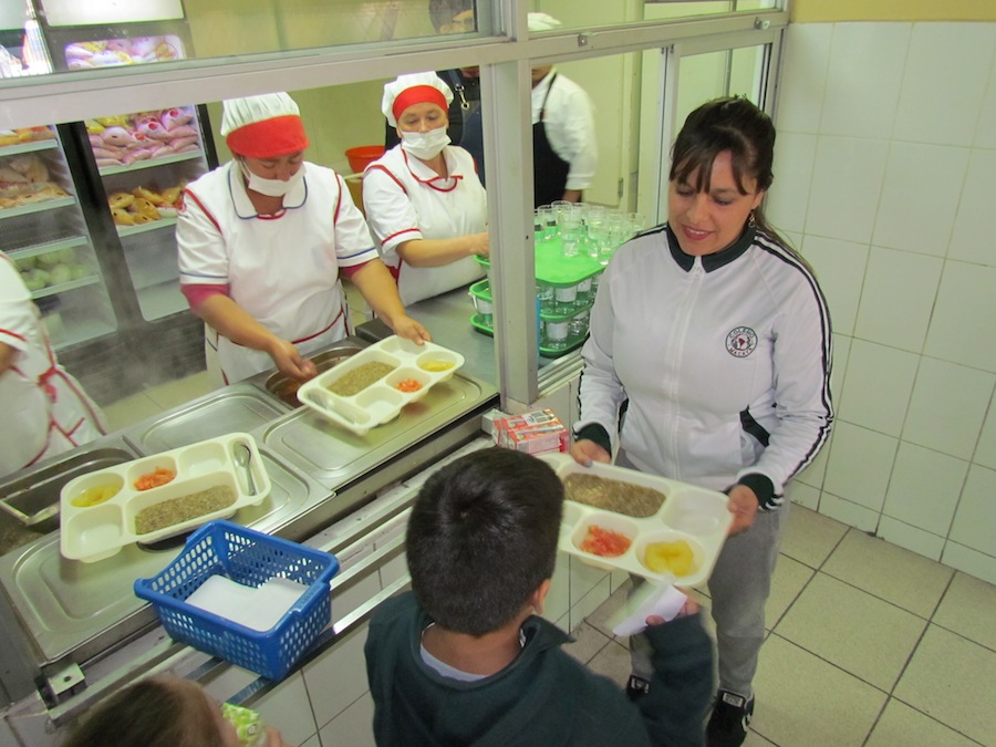 120 colegios suman quinoa de Colchane y zanahoria de Camiña en Programa de Alimentación Escolar de JUNAEB