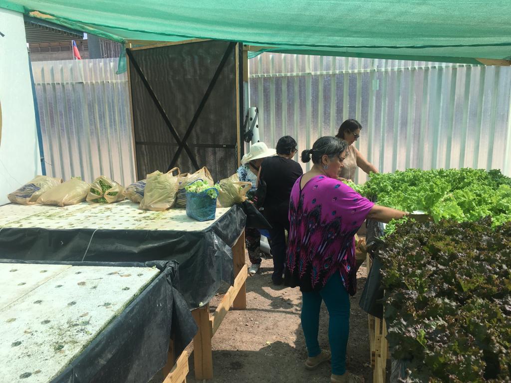 Cooperativas: Ayuda mutua y permanente