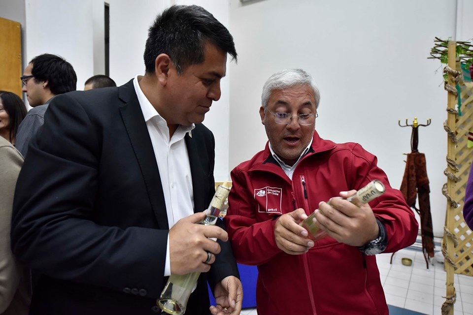 Universidad Arturo Prat realiza exitoso encorche del Vino del Desierto