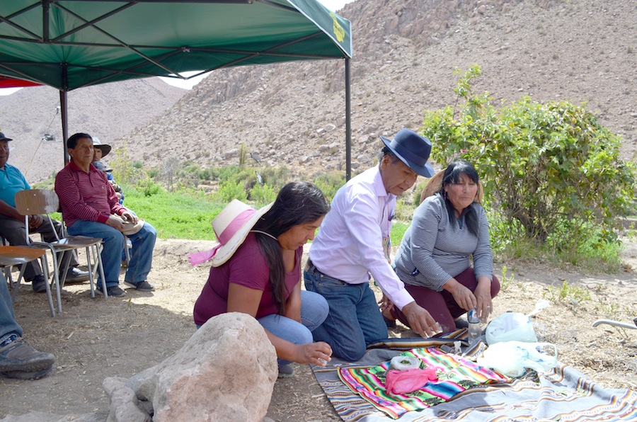 CONADI: 48 proyectos para mejorar la tradicional agricultura en la comuna de Camiña