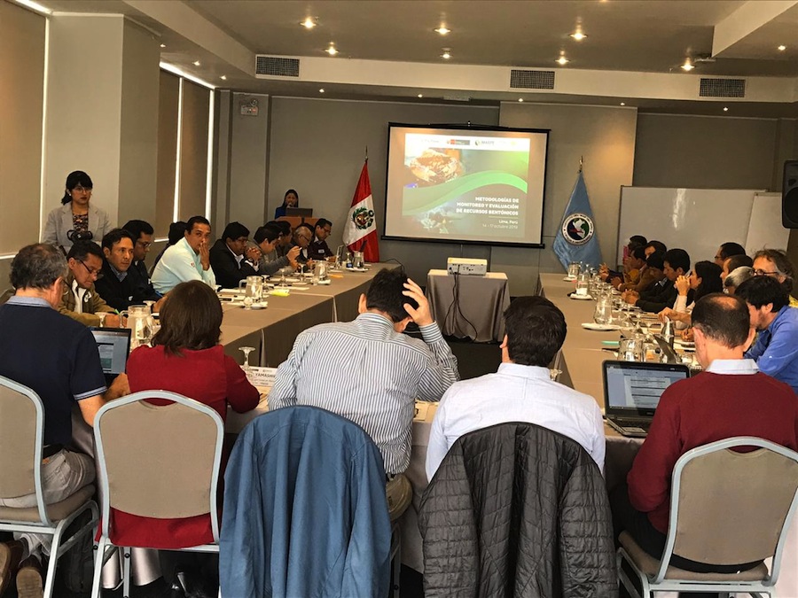 Investigadores de IFOP asisten a taller en Instituto del Mar de Perú