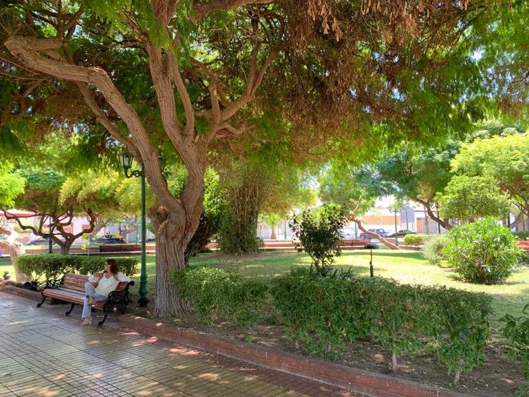 La Plaza de Taltal es una de las más lindas del Norte Grande