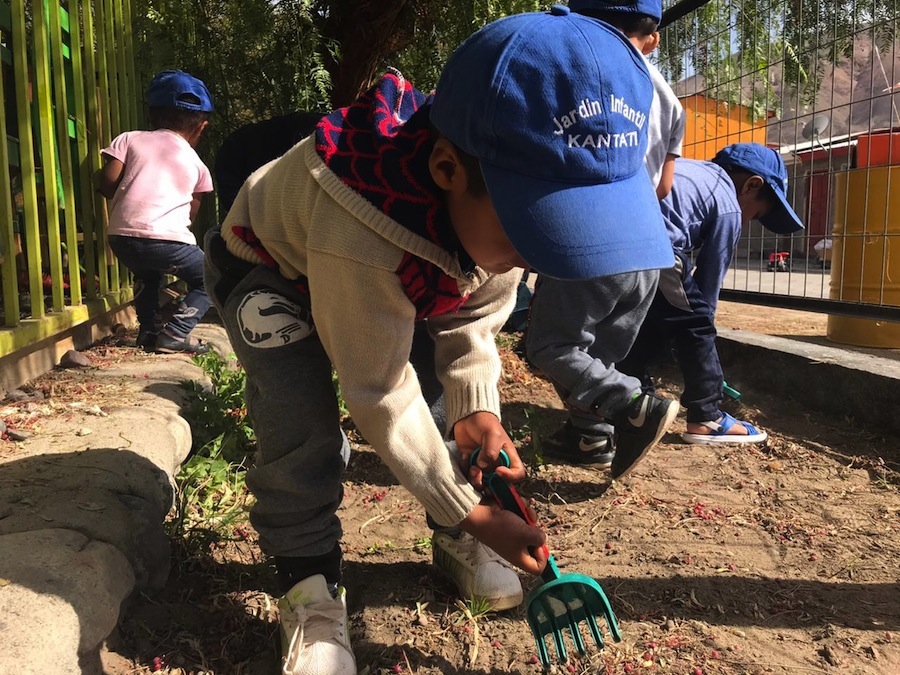Párvulos de JUNJI Tarapacá siembran en Pachica, comuna de Huara