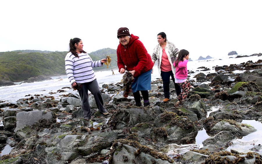 #Agendasocial – Indespa entregará kit de indumentaria profesional a recolectoras de orilla